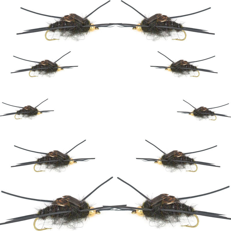 Basics Collection - Kaufmanns Black Stonefly Assortment - 10 Flies #4-12