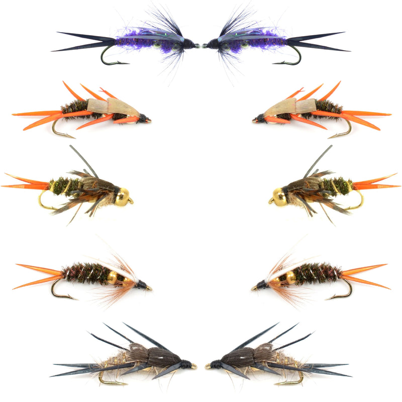 Basics Collection - Double Bead Nymph Assortment - 10 Wet Flies - Size 12