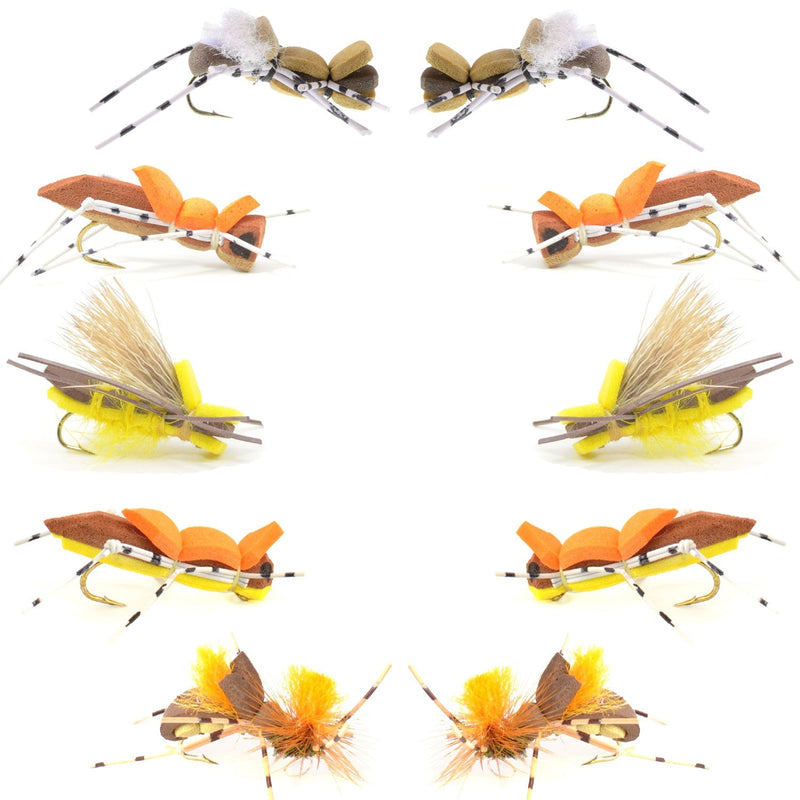 Basics Collection - Foam Hoppers Assortment - 10 Flies - Size 10