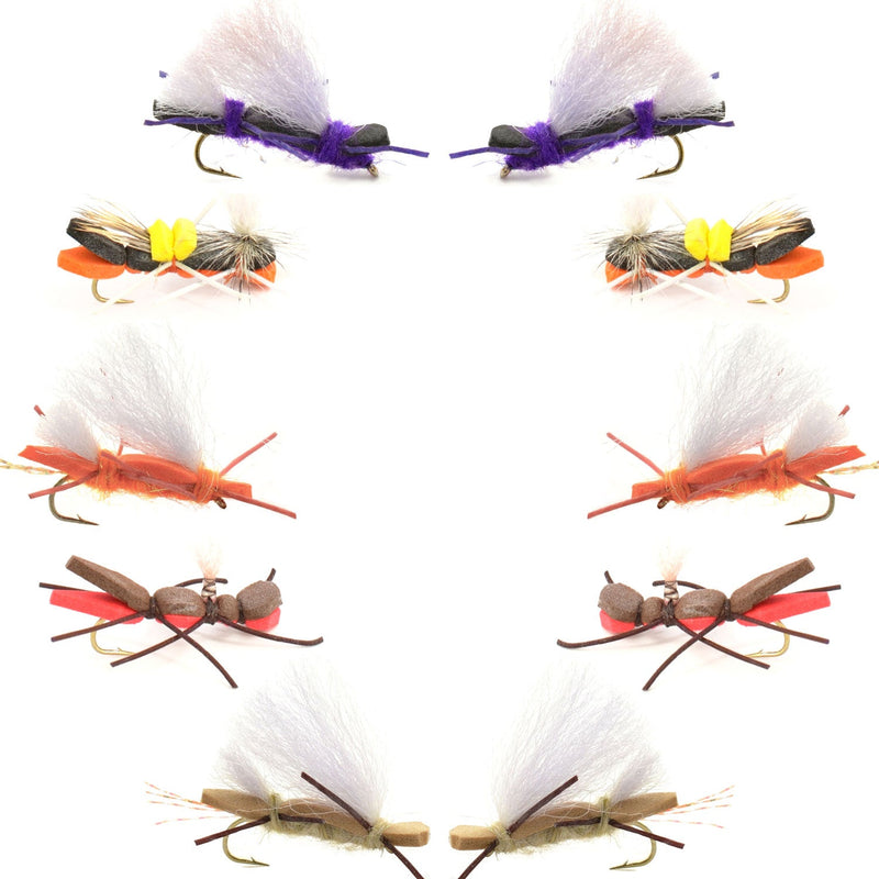 Basics Collection - Chernobyl Ant Hopper Fly Assortment - 10 Flies Size 10