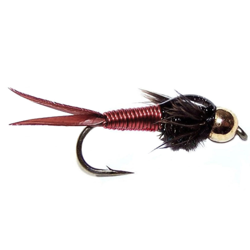 Basics Collection - Bead Copper John Assortment - 10 Flies Sizes 14-18