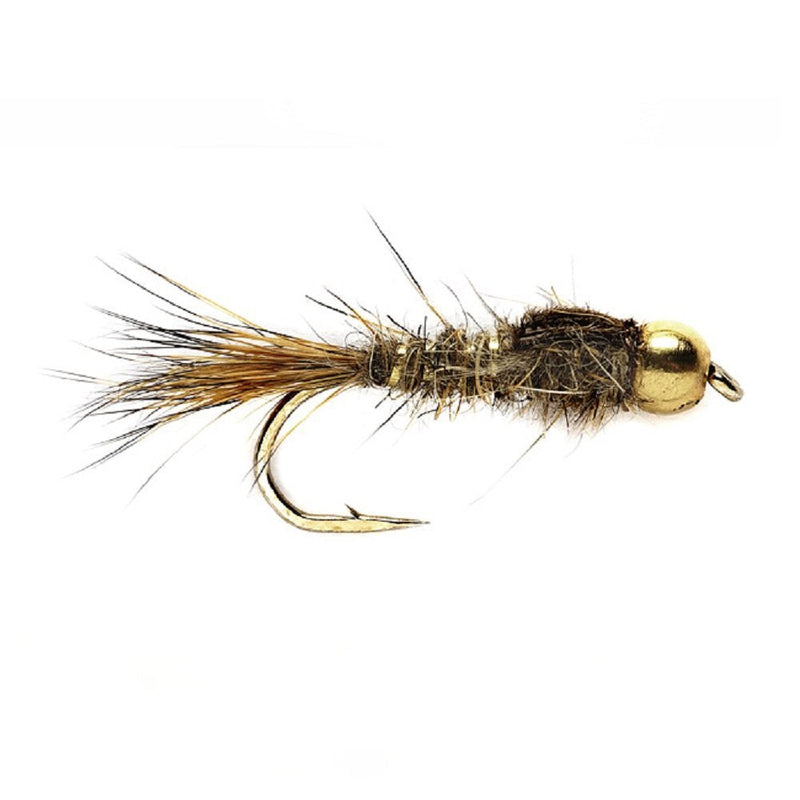 Basics Collection - Tungsten Bead Nymph Assortment - 10 Flies - Sizes 10-16