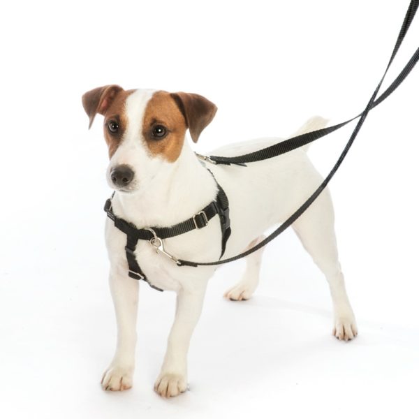 Forest Floor Freedom No-Pull Dog Harness – EarthStyle