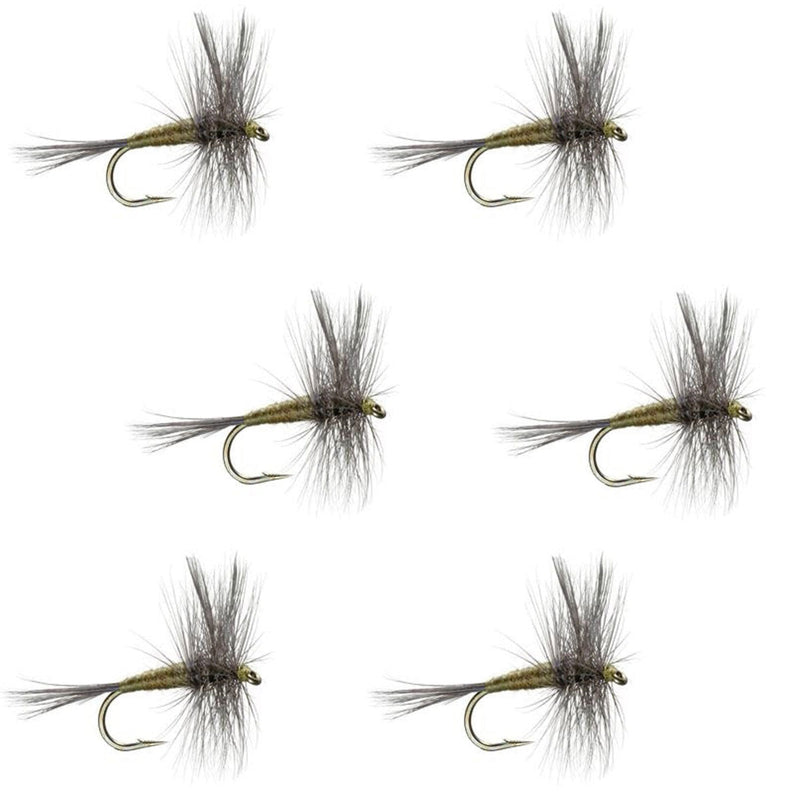 Blue Winged Olive BWO Trout Dry Fly Fishing Flies - 6 Flies Size 14