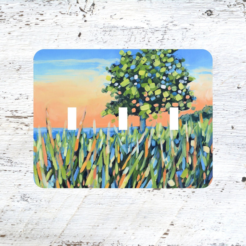 Switch Plates: "A Time to Unwind II"