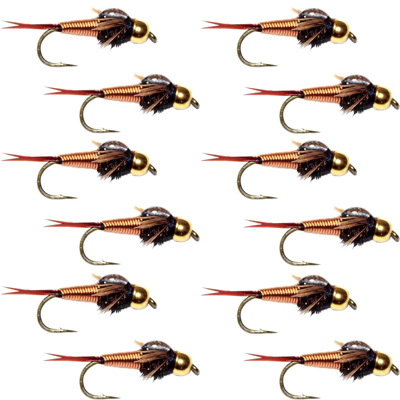 Bead Head Copper John Nymph 1 Dozen Fly Fishing Flies - Hook Size 14