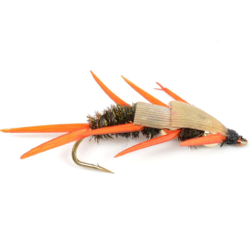 Basics Collection - Double Bead Nymph Assortment - 10 Wet Flies - Size 12