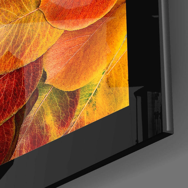 Autumn Leaves Glass Wall Art