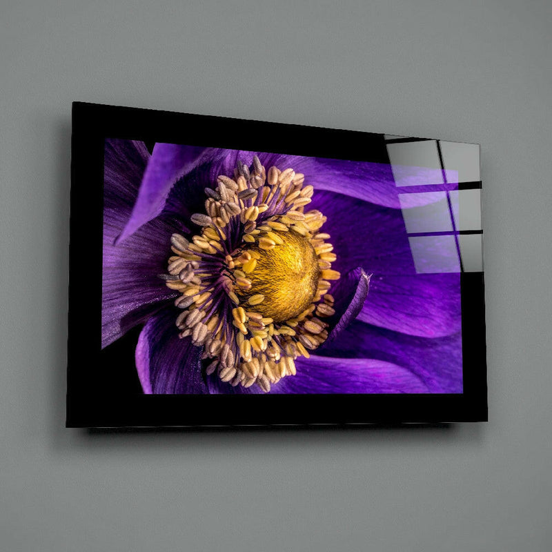 Passionflower Flower Glass Wall Art