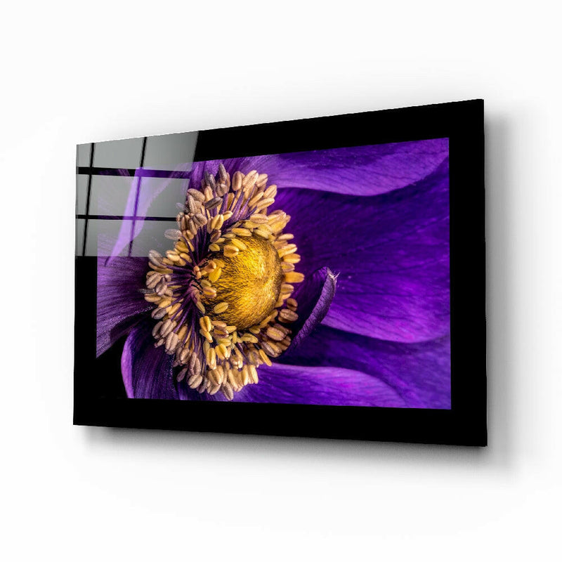 Passionflower Flower Glass Wall Art