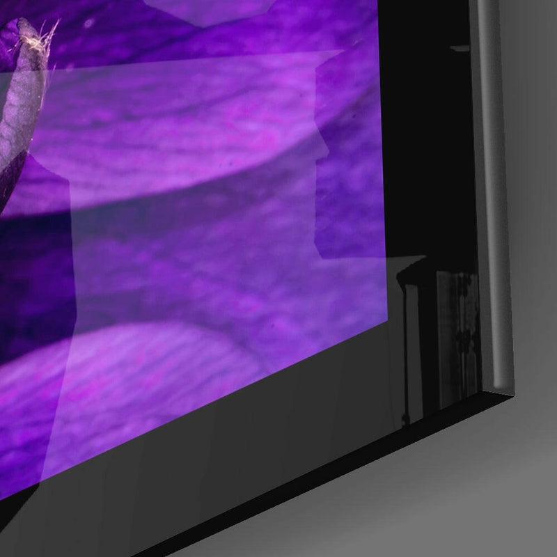 Passionflower Flower Glass Wall Art