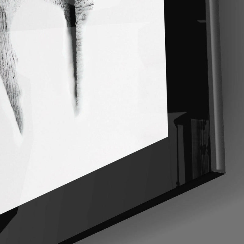 Elephant Glass Wall Art