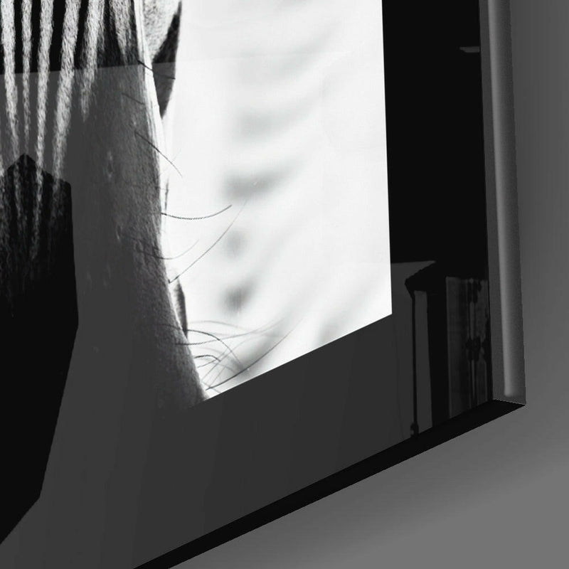 Zebra Glass Wall Art