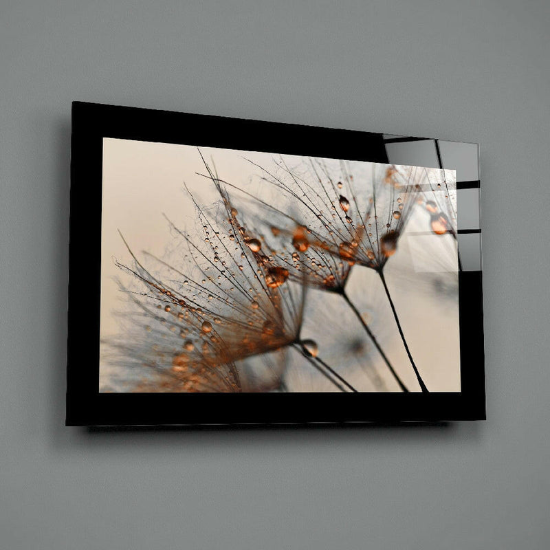 Cinnamon Dandelion Glass Wall Art