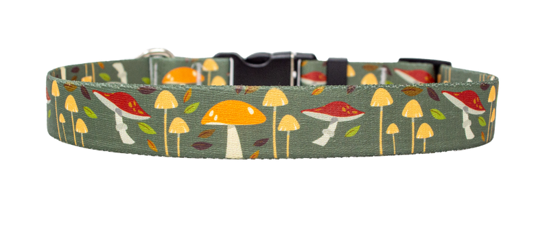 Forest Floor Dog Collar