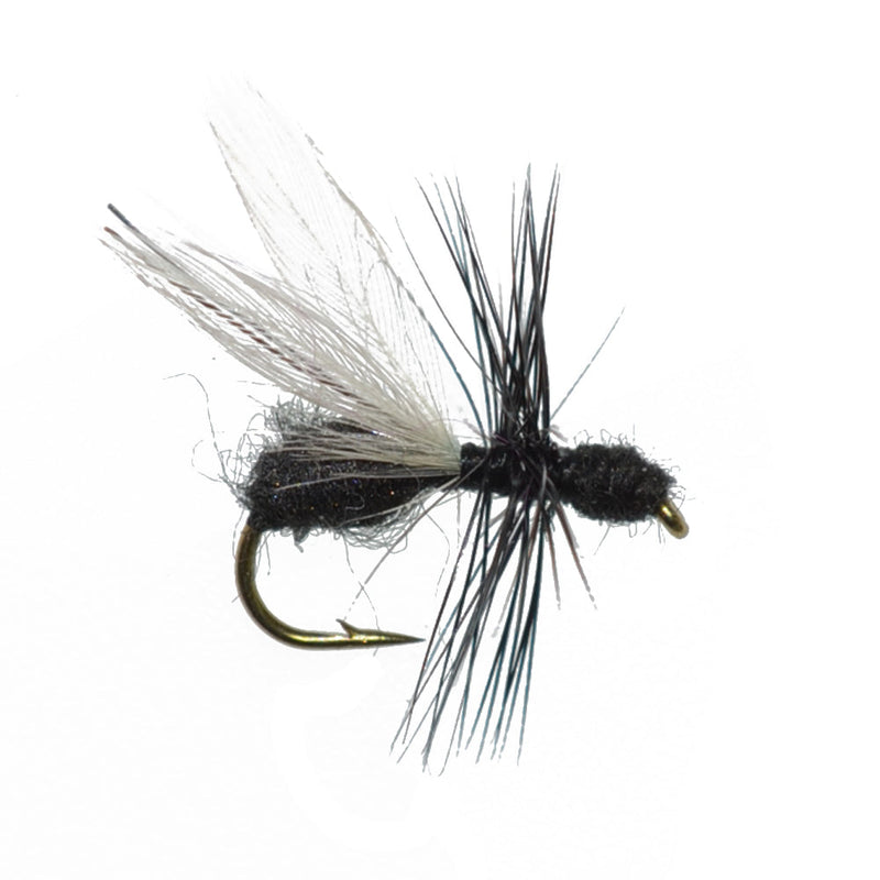 Basics Collection - Terrestrials Fly Assortment - 10 Flies - Sizes 10-14