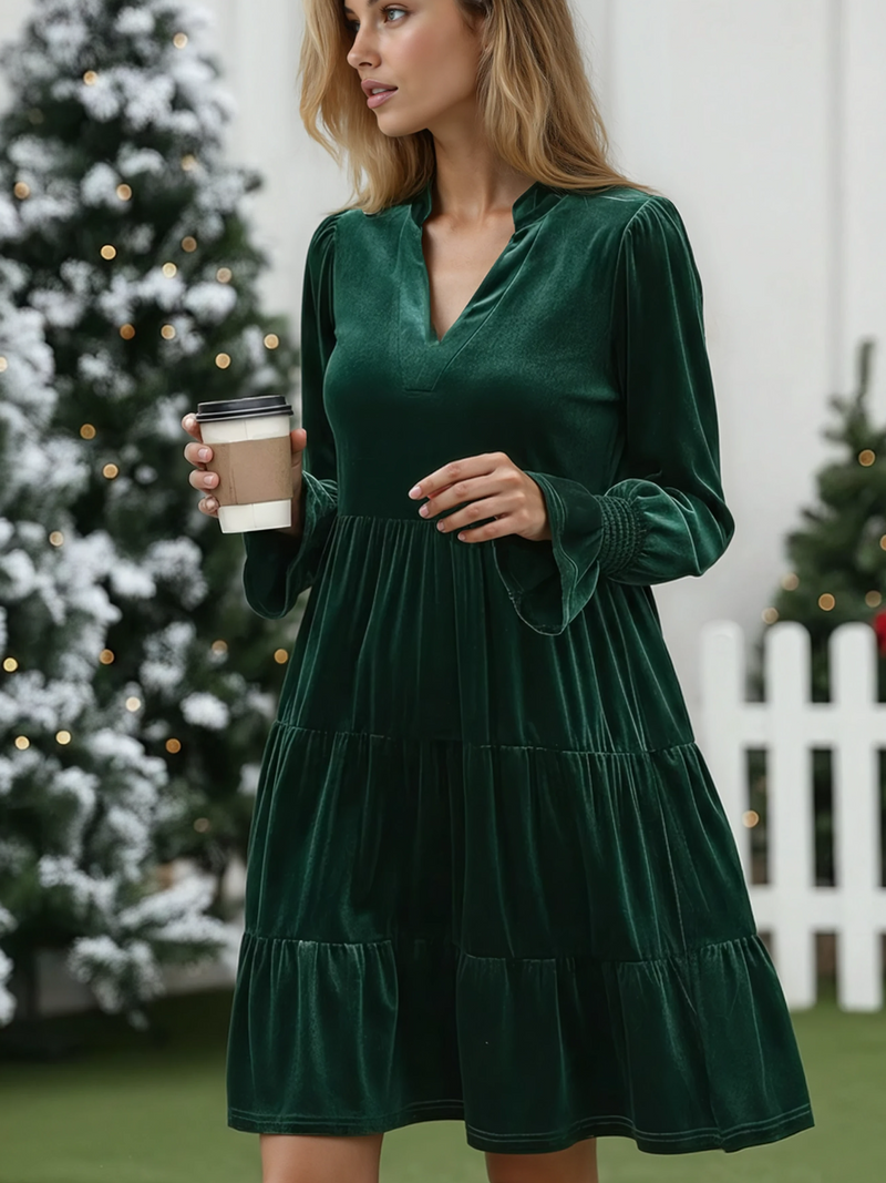 Elegant Velvet Long Sleeve  Solid Color Dress