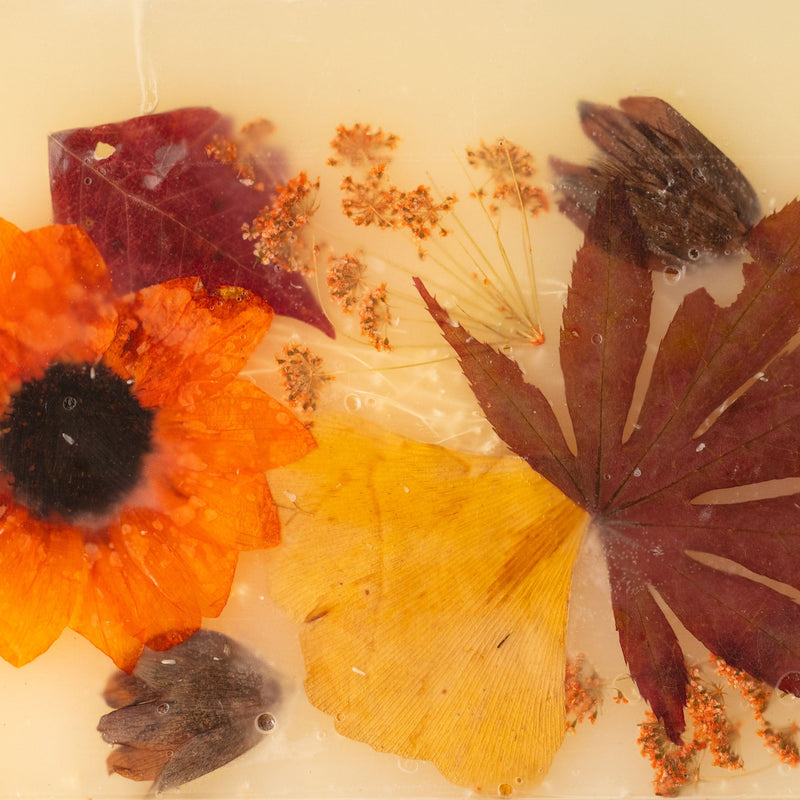 Harvest Pumpkin Medium Pressed Floral Candle