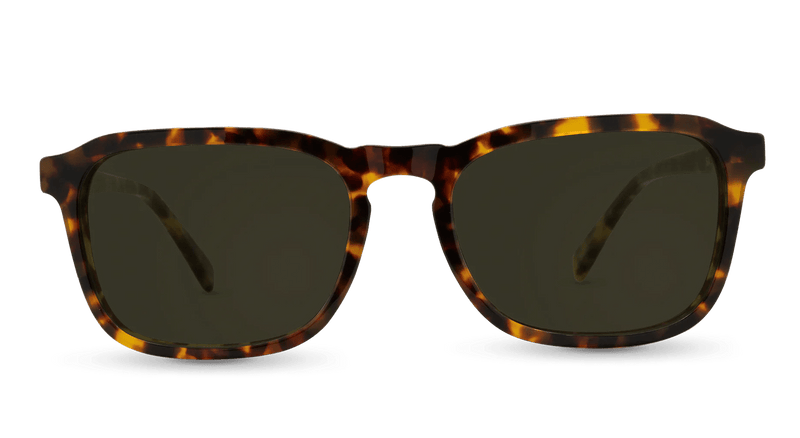 Hawksbill Sunglasses
