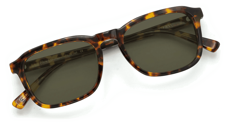 Hawksbill Sunglasses