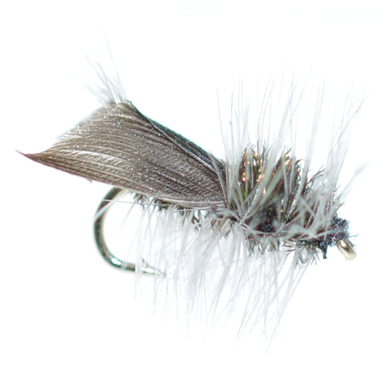 Basics Collection - Caddis Dry Fly Assortment - 10 Flies - Sizes 12-18