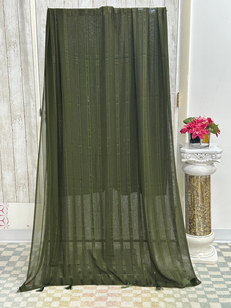 Plain georgette saree with light sequin work