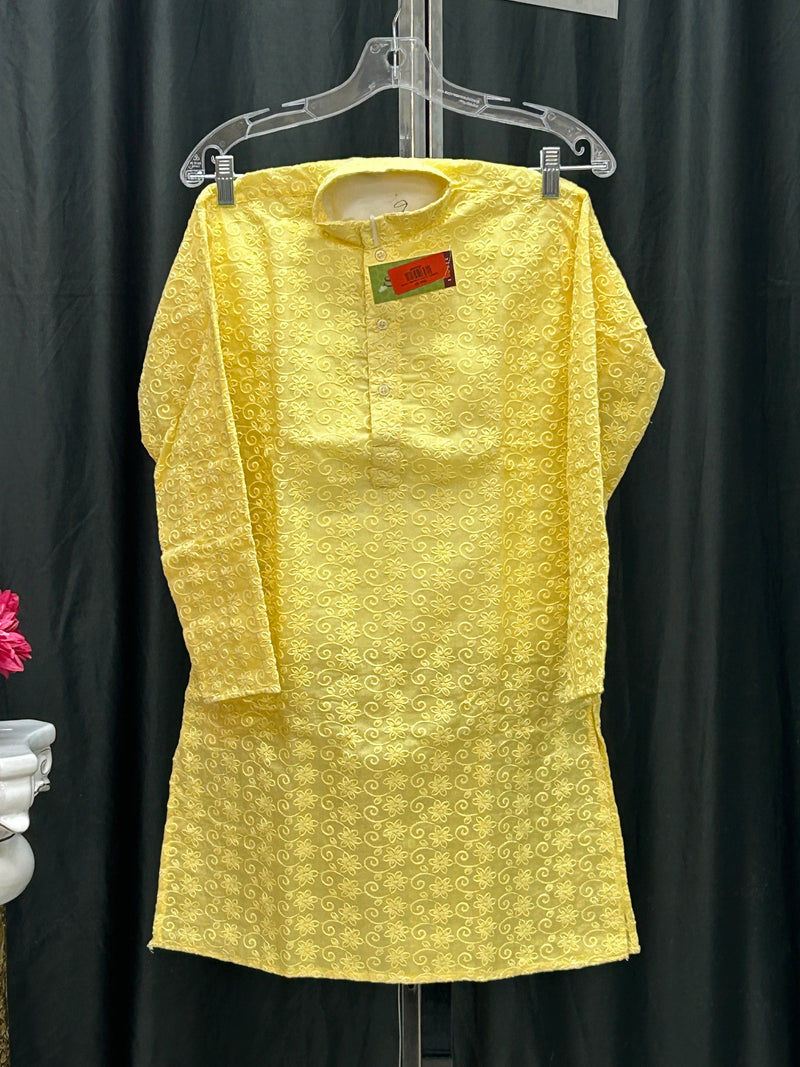 Cotton chikankari Kurta