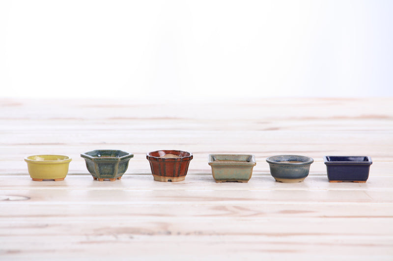 Willow Bonsai Ceramics 1.5 Inch Shito Bonsai Pot Set of 6 – Mini Handmade Ceramic Bonsai & Succulent Pots, High‑Fired Stoneware with Drainage, Made in USA (Set B)