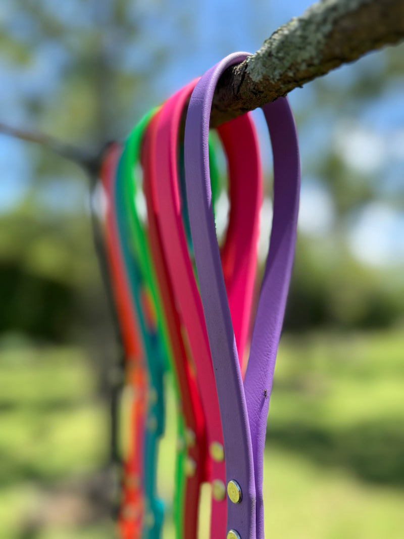 Biothane® Dog Leash — Waterproof, Made in the USA