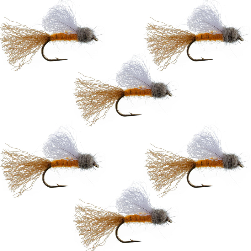 Orange Iris October Caddis Emerger Caddis  Trout Dry Fly - 6 Flies Hook Size 8