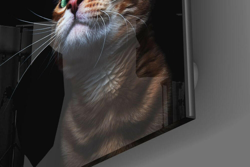 Kitten Glass Wall Art