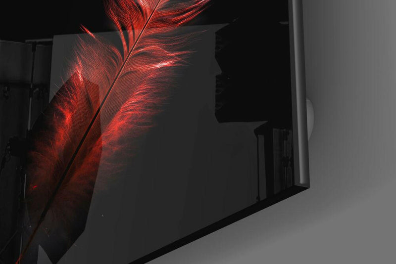 Colored Feather Glass Wall Art