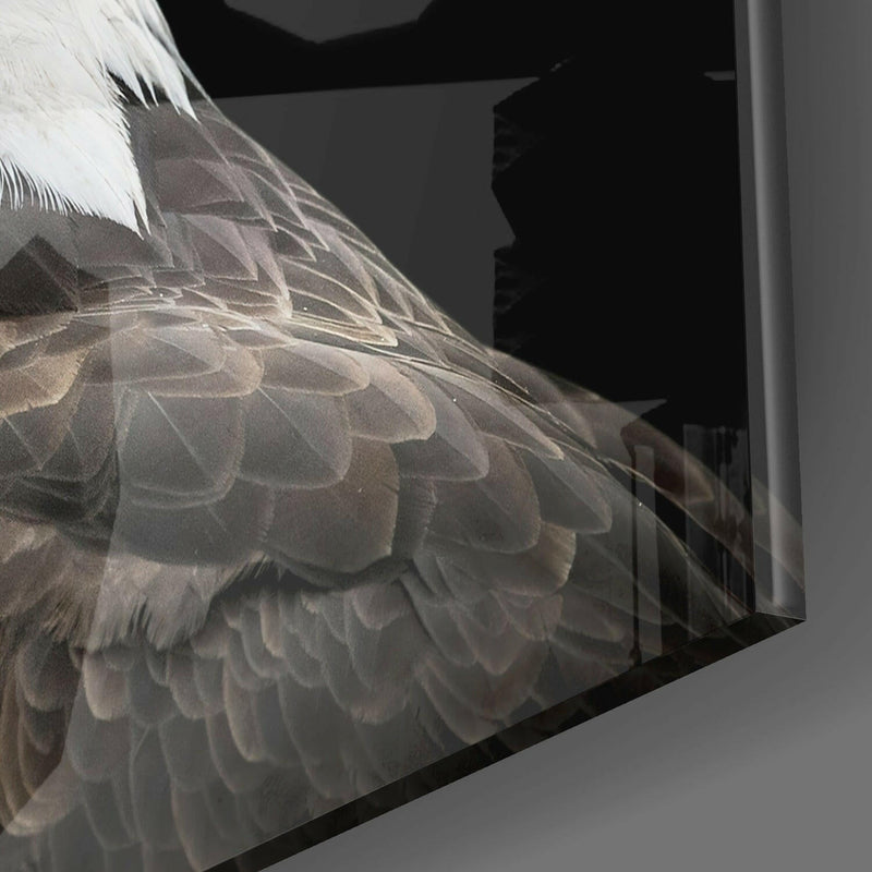 Eagle Glass Wall Art
