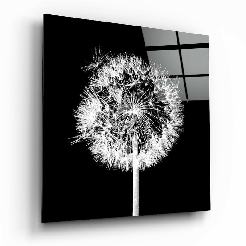 Dandelion Glass Wall Art