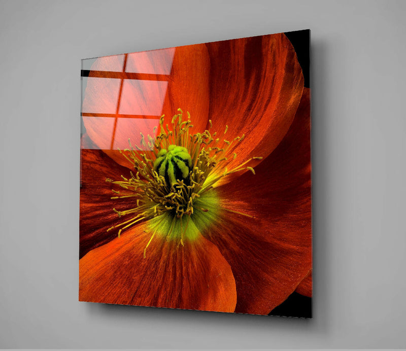 Flower Glass Wall Art