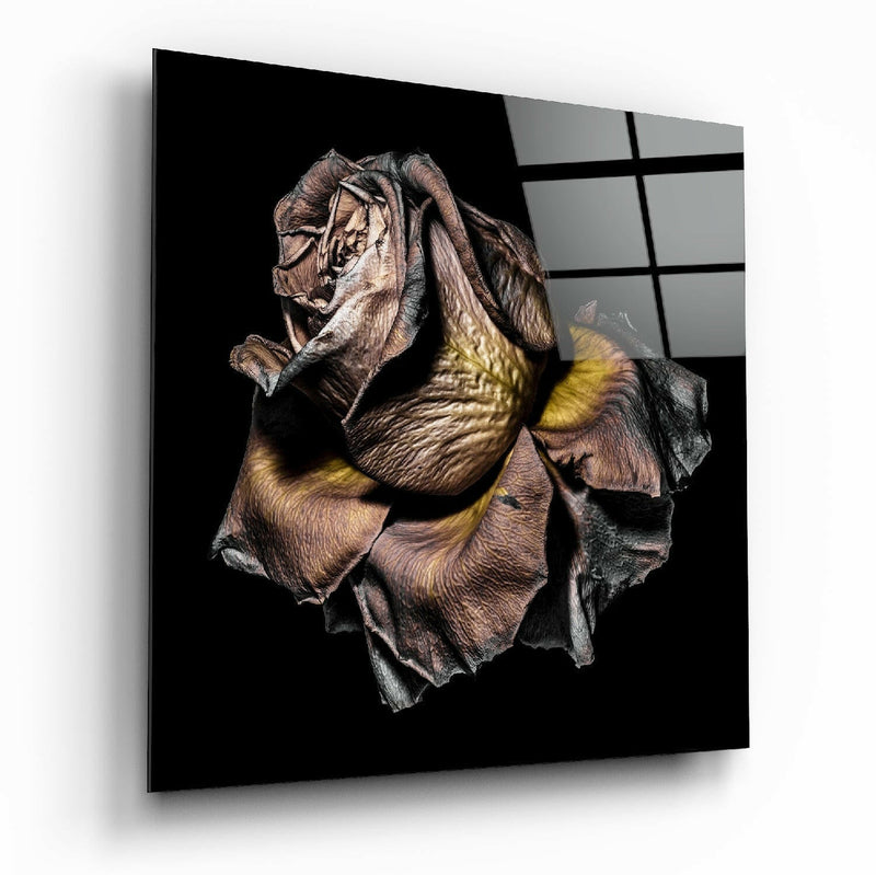 Dried Rose Glass Wall Art
