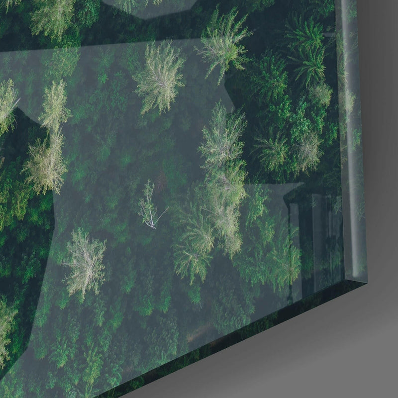 Forest Road Glass Wall Art