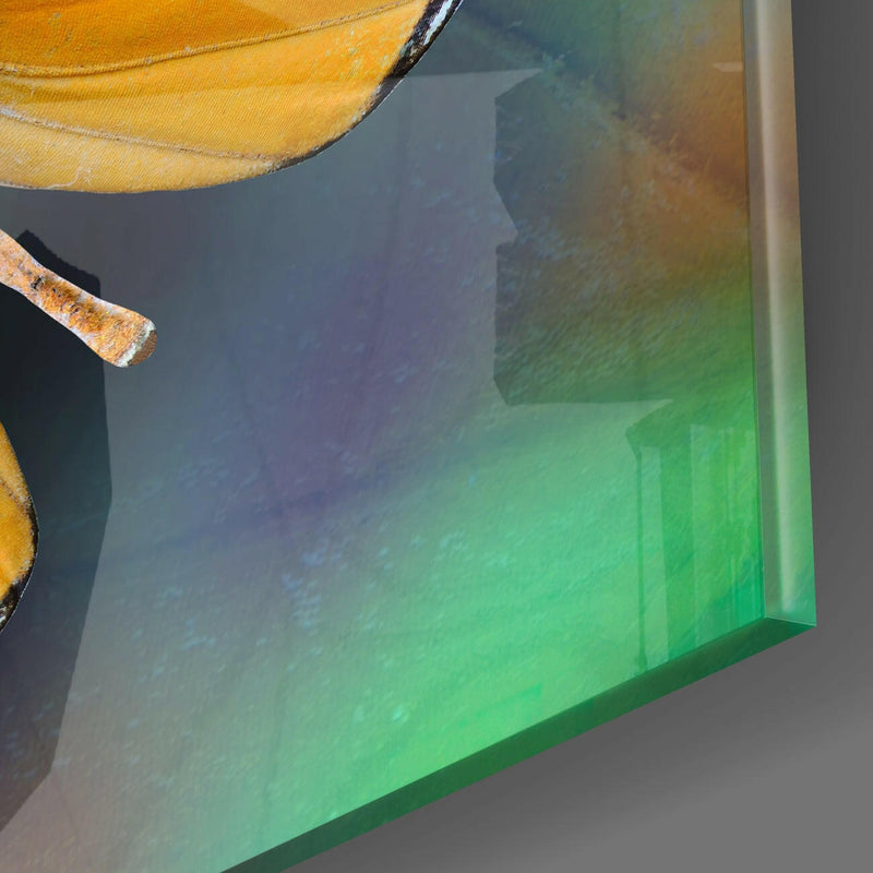 Butterfly Glass Wall Art