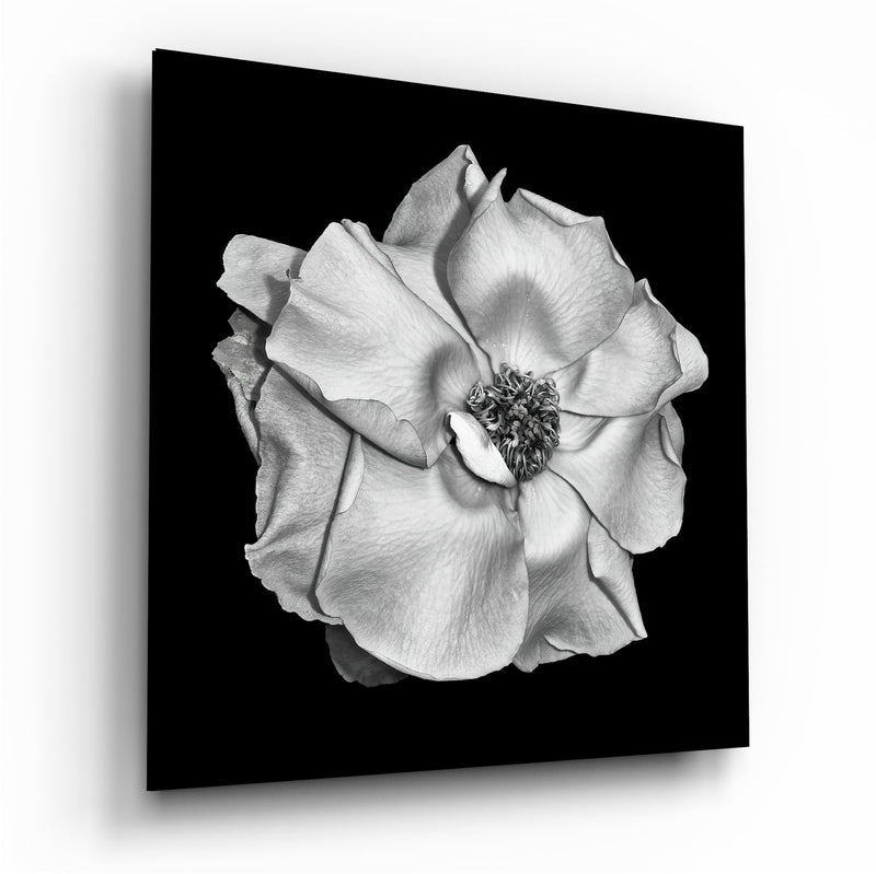 Flower Glass Wall Art