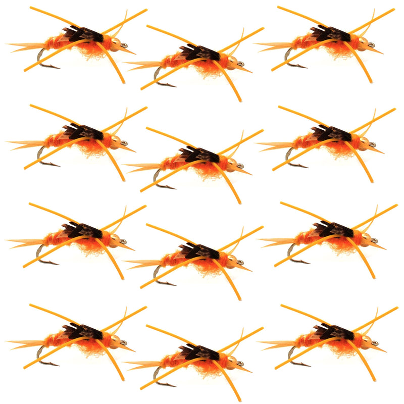Tungsten Bead Kaufmann's Golden Stone Fly Nymph Rubber Legs - 1 Dozen Hook Size 8