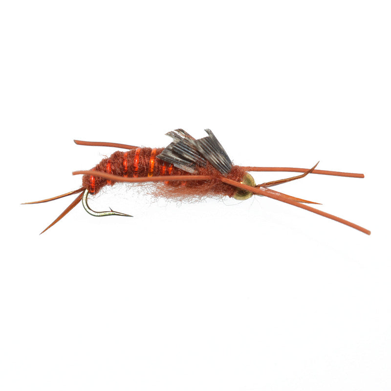 Basics Collection - Kaufmann's Brown Stonefly Kit 10 Flies #Sizes 6-12