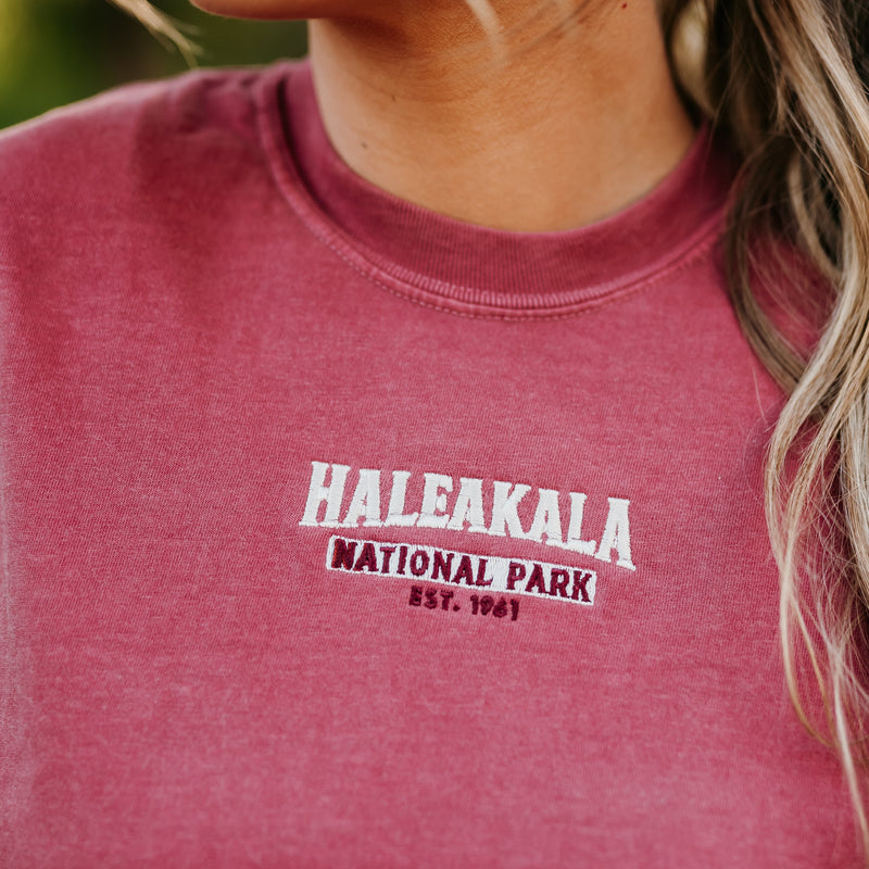 Haleakala National Park - Weekly Wander #10 - Comfort Colors Tee