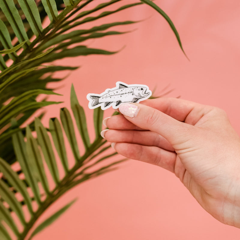 LMSS® STICKER - BROOK TROUT (PAX'S DRAWING) - CLEAR BACKGROUND