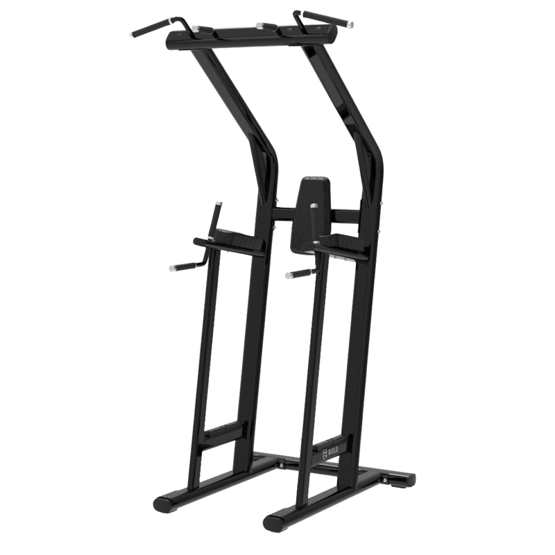 BUILD Chin Dip Leg Raise VKR Station (New)