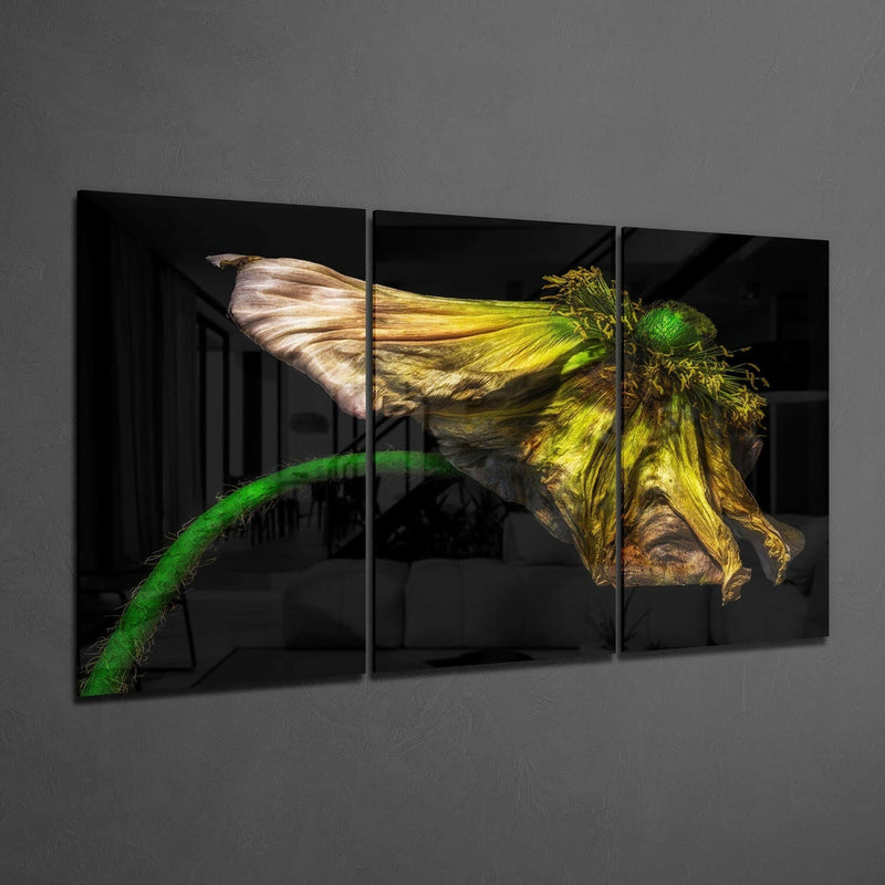 Macro Flower Glass Wall Art