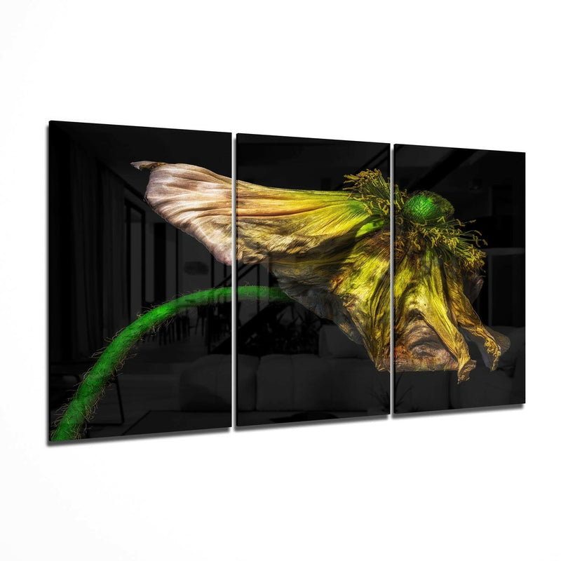 Macro Flower Glass Wall Art