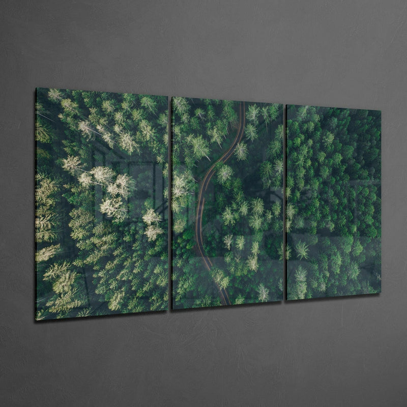 Forest Glass Wall Art