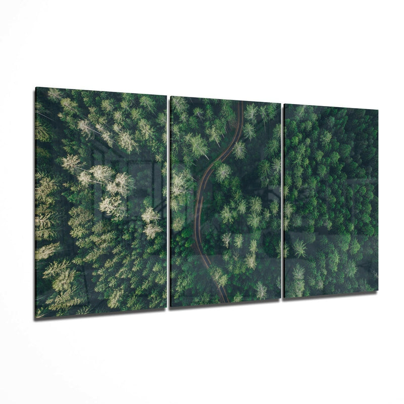 Forest Glass Wall Art