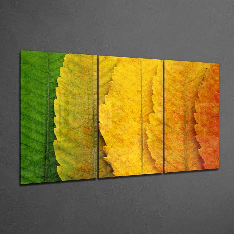 Autumn Leaves Glass Wall Art