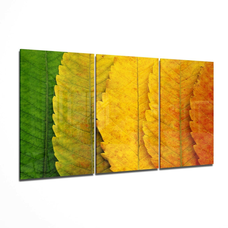 Autumn Leaves Glass Wall Art